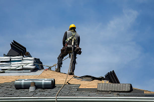 Professional Roof Repair technician working in Gaines, MI